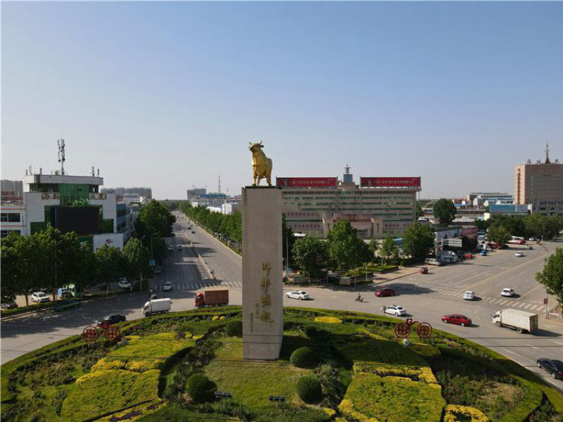 城市景觀(guān)銅雕牛 城市景觀(guān)銅雕牛